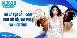 Đá Gà Cựa Sắt - Sân Chơi Tốc Độ, Sát Phạt Và Kịch Tính