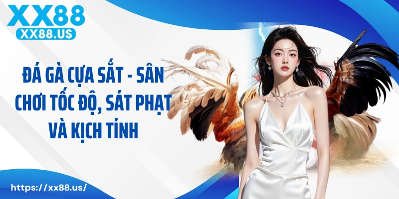 Đá Gà Cựa Sắt - Sân Chơi Tốc Độ, Sát Phạt Và Kịch Tính