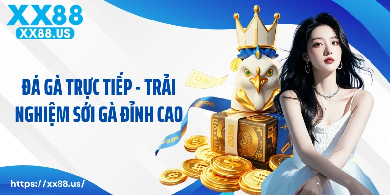 Đá Gà Trực Tiếp - Trải Nghiệm Sới Gà Đỉnh Cao Nhà Cái XX88