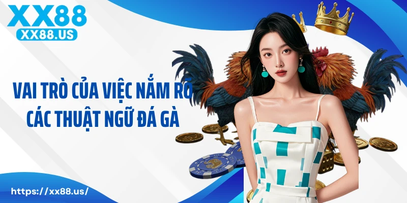 Vai trò của việc nắm rõ các thuật ngữ đá gà