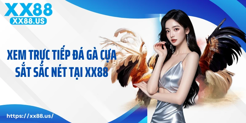 Xem trực tiếp đá gà cựa sắt sắc nét tại XX88